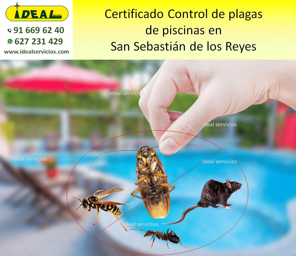 Certificado Control de plagas de piscinas en San Sebastián de los Reyes