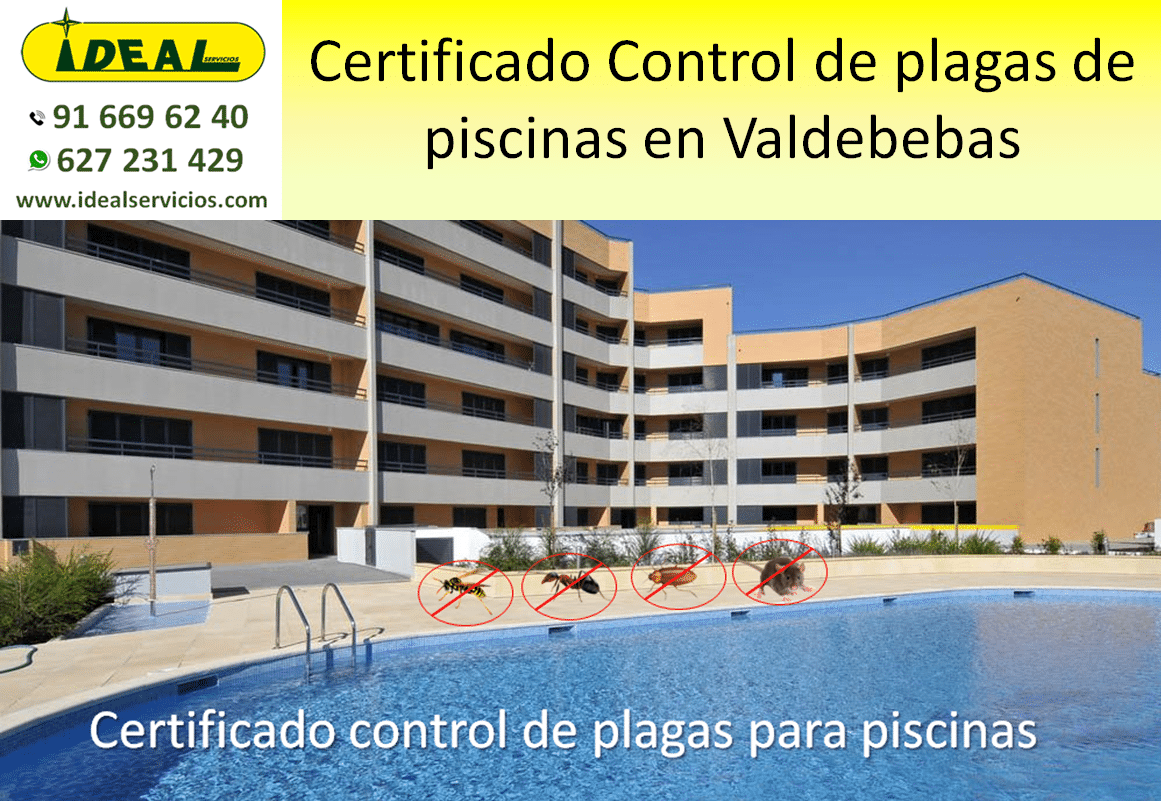 Certificado Control de plagas de piscinas en Valdebebas