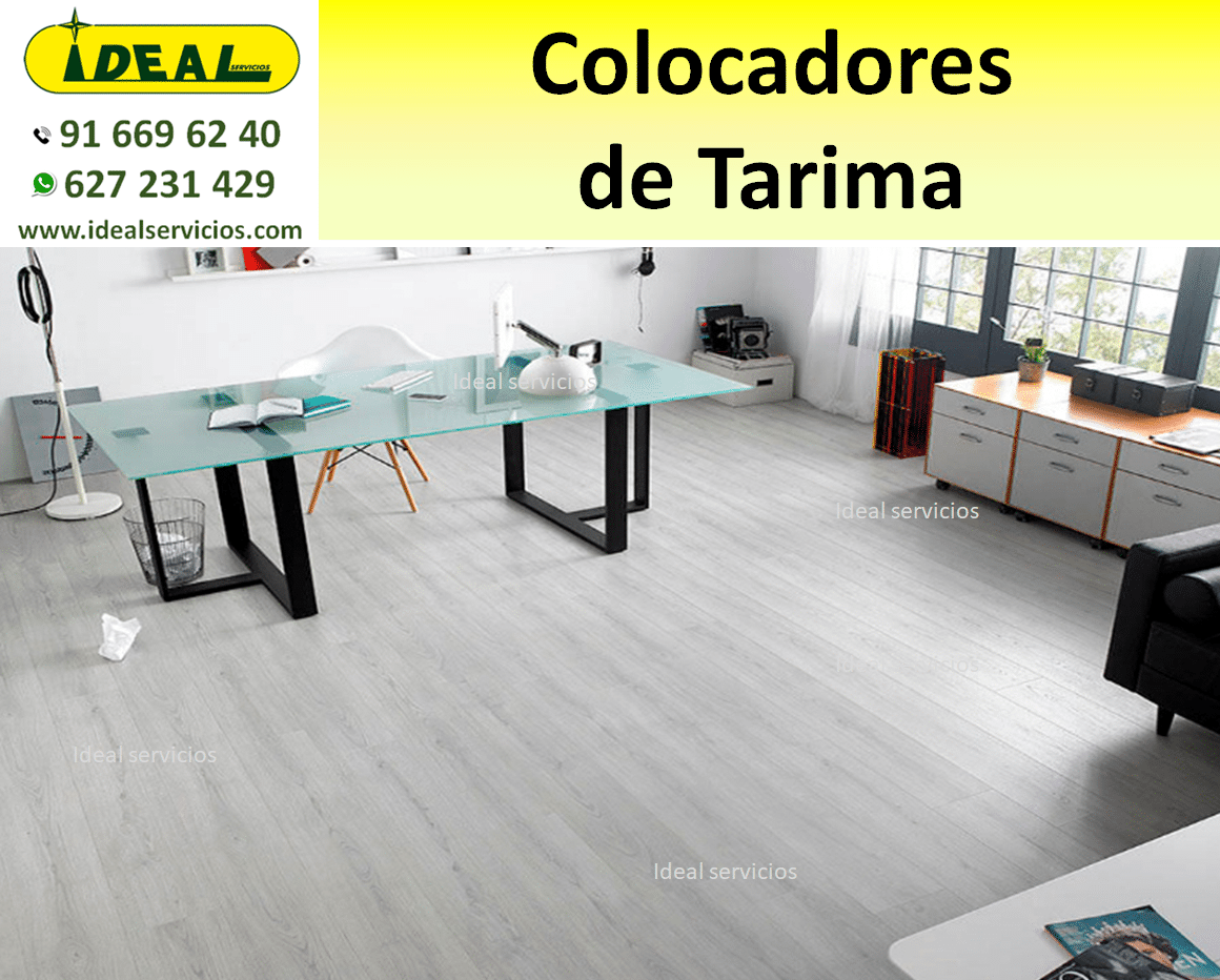 Colocadores de Tarima