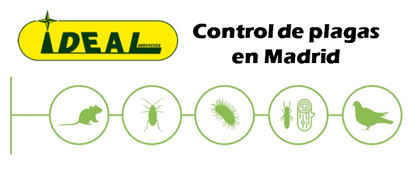 Control de Plagas en Madrid