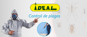 Empresa de control de plagas en Madrid