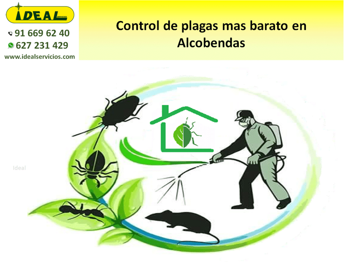 Control de plagas mas barato en Alcobendas