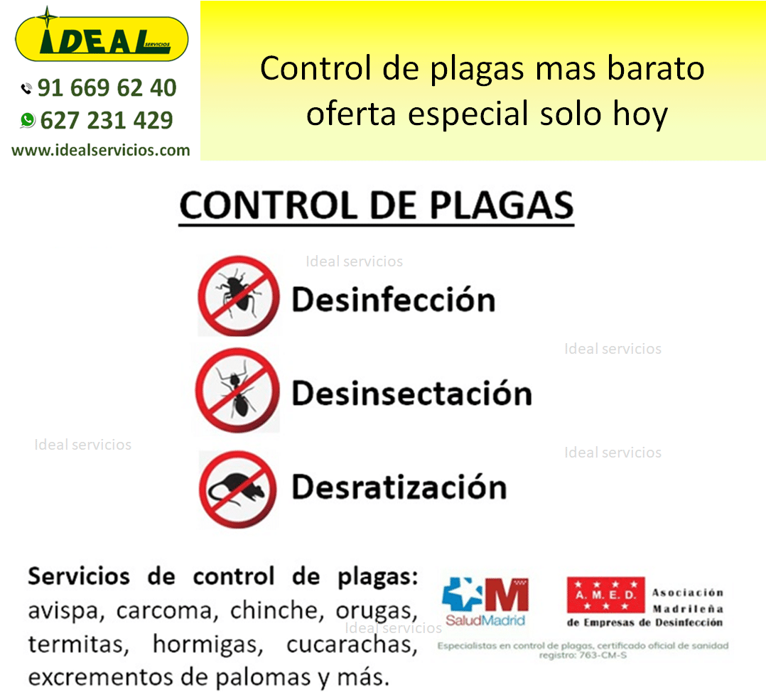 Control de plagas mas barato- oferta especial solo hoy