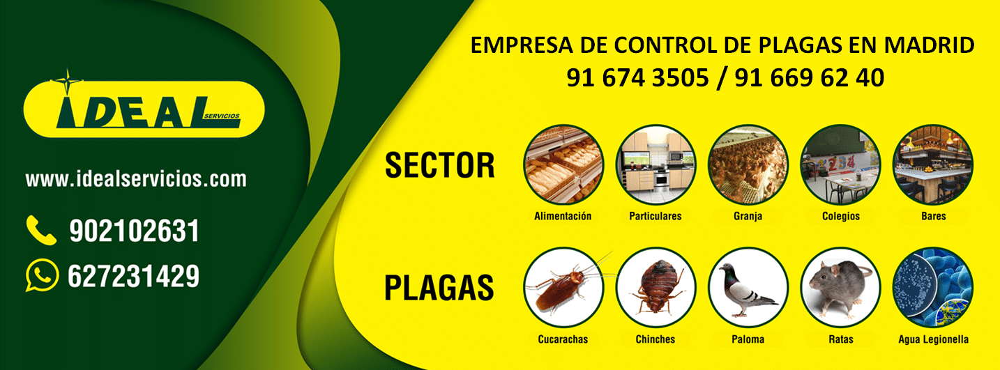 Empresa de control de plagas en Madrid