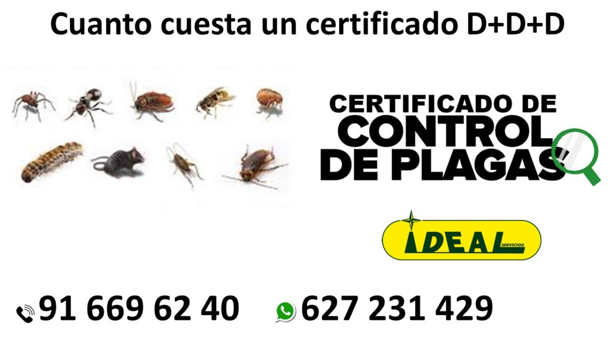 Cuanto cuesta un certificado DDD de control de plagas