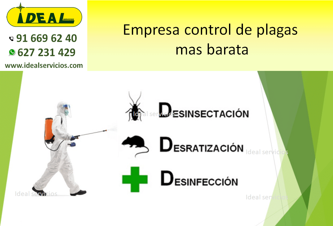 Empresa control de plagas mas barata