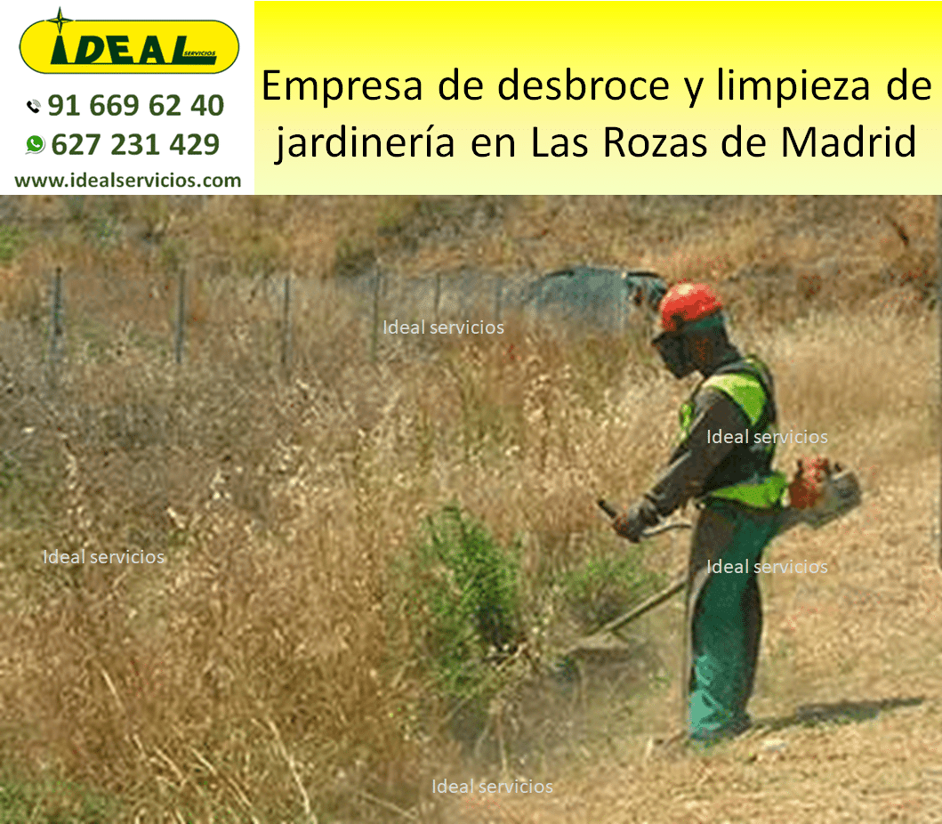 Empresa de desbroce y limpieza de jardinería en Las Rozas de Madrid