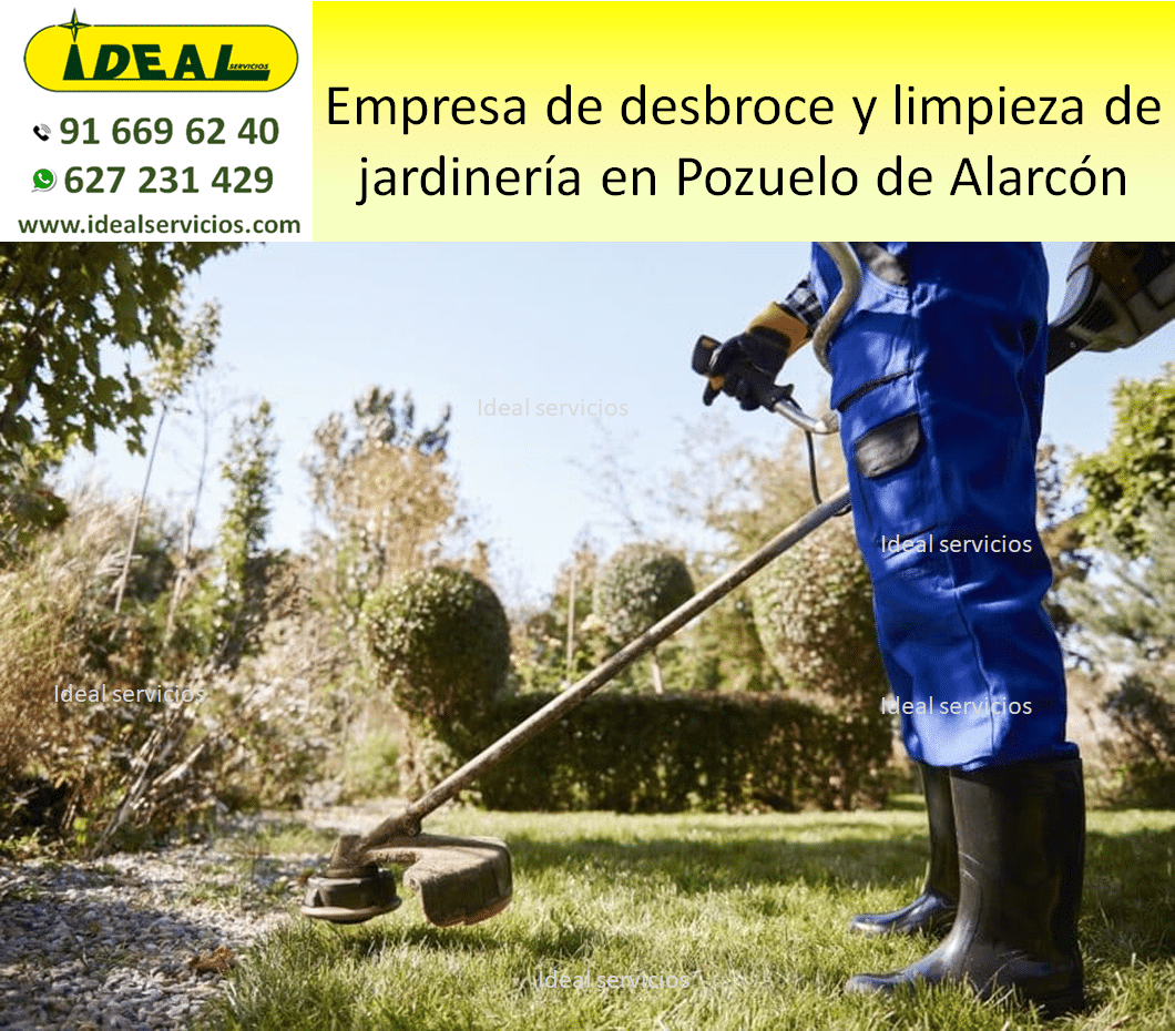 Empresa de desbroce y limpieza de jardinería en Pozuelo de Alarcón