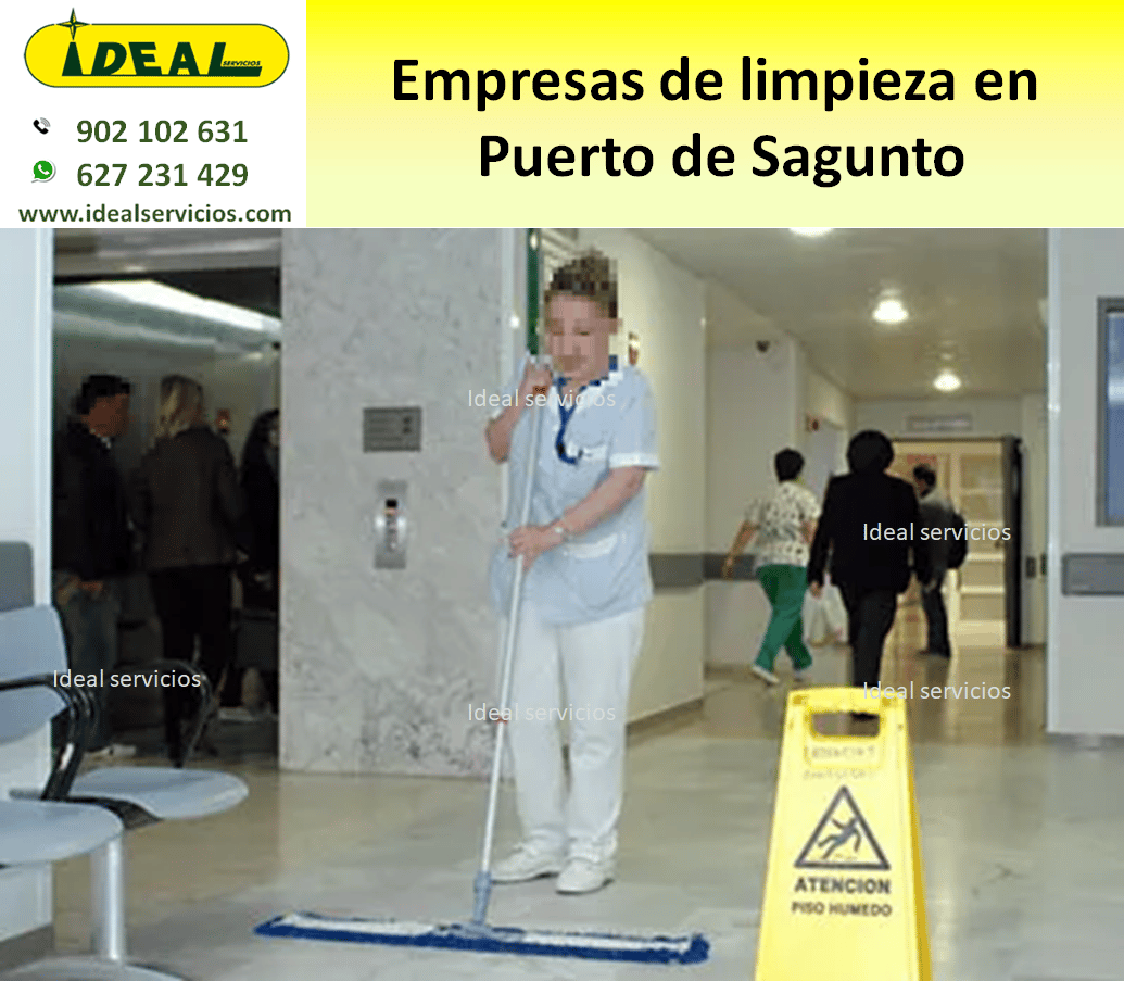 Empresas de limpieza en Puerto de Sagunto