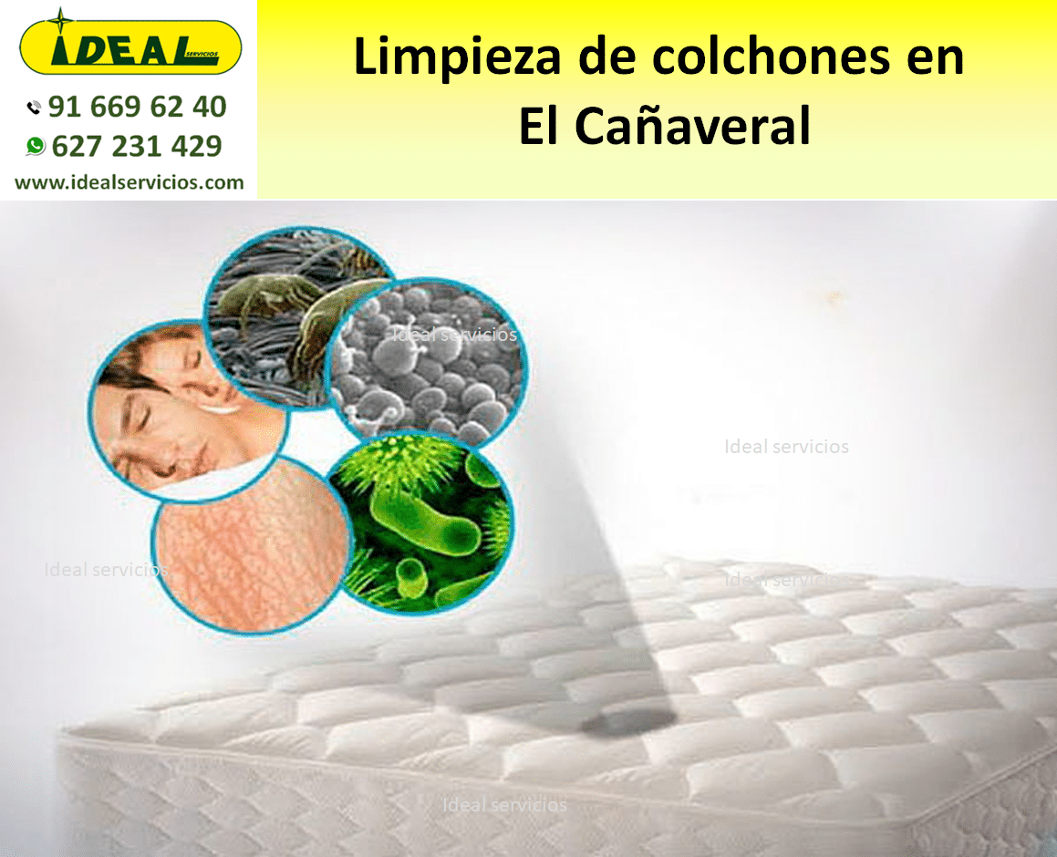 Limpieza de colchones en El Cañaveral