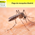 Plaga de mosquitos Madrid