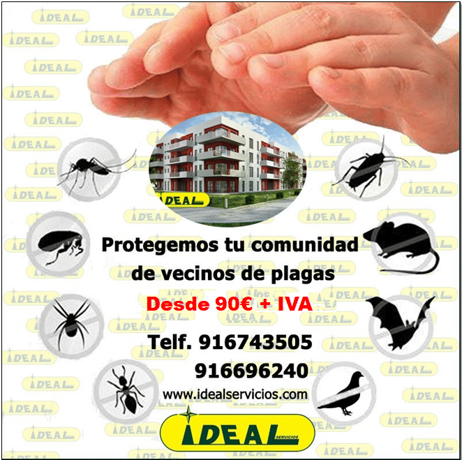 Control de plagas para comunidades en Madrid