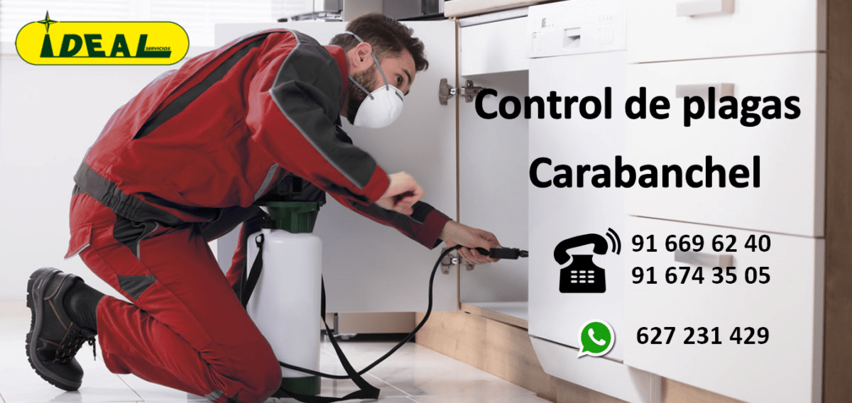 Empresas de Control de Plagas en Carabanchel