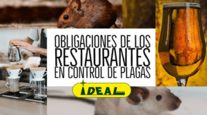 Control de plagas en restaurantes