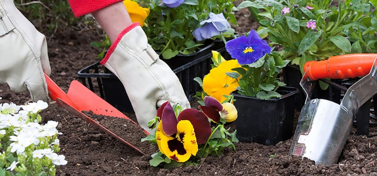 Consejos para el mantenimiento de jardines