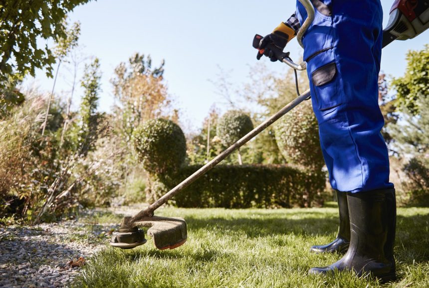 Servicios de desbroce comunidades de vecinos en Majadahonda