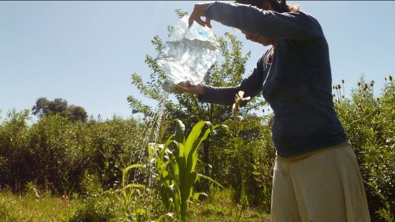 El agua de la piscina, para jardinería